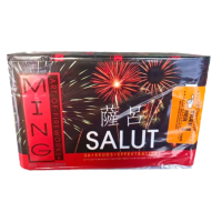 Салют MING SALUT