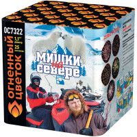 Салют Мишки на севере