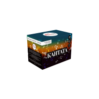 Салют Кантата