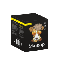 Салют Мажор