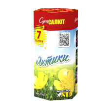 Салют Лютики